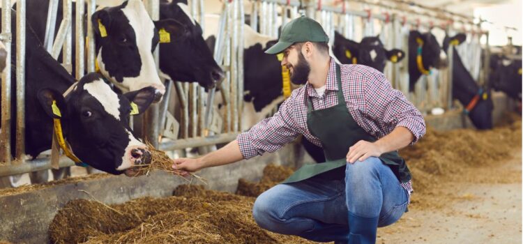 Comment obtenir un CAP pour travailler avec les animaux ?